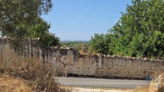 Acheter Terrain 450 m2 Loule