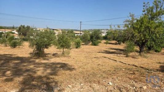 Acheter Terrain Loule rgion FARO