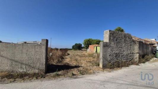 Annonce Vente Terrain Porto-de-mos