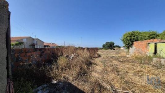 Acheter Terrain 7640 m2 Porto-de-mos