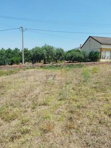 Acheter Terrain Alcobaca rgion LEIRIA
