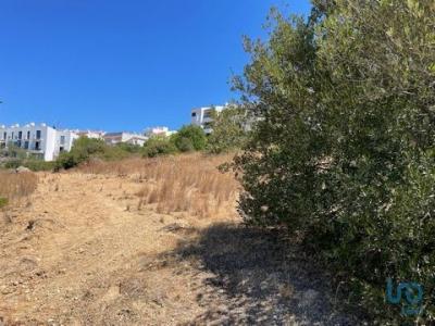 Acheter Terrain 5540 m2 Albufeira