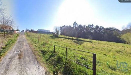 Vente Terrain Oliveira-do-bairro PALHAAA 01 au Portugal