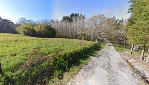 Annonce Vente Terrain Oliveira-do-bairro