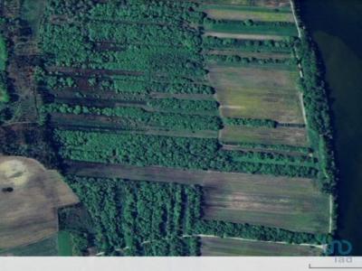 Acheter Terrain 6750 m2 Aldreu