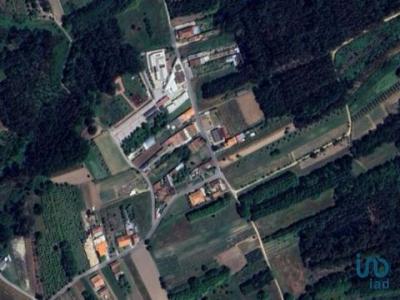 Vente Terrain Oliveira-do-bairro PALHAAA 01 au Portugal