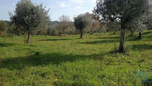 Acheter Terrain Ferreira-do-zezere rgion SANTAREM