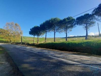 Acheter Terrain 930 m2 Cadaval