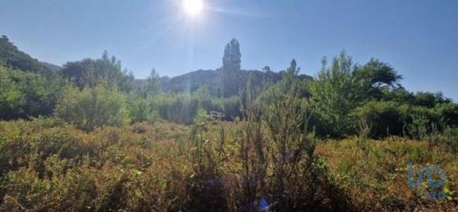 Annonce Vente Terrain Mafra