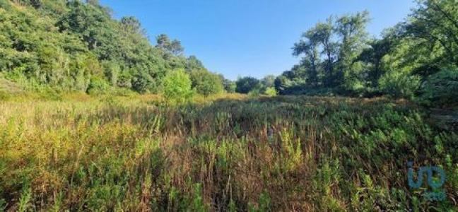 Acheter Terrain 7500 m2 Mafra