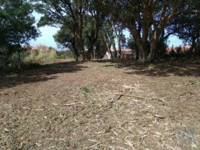 Acheter Terrain Arcozelo rgion PORTO