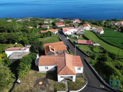 Acheter Local commercial 159 m2 Lajes-do-pico