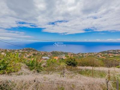 Acheter Maison Ponta-do-sol rgion MADEIRA