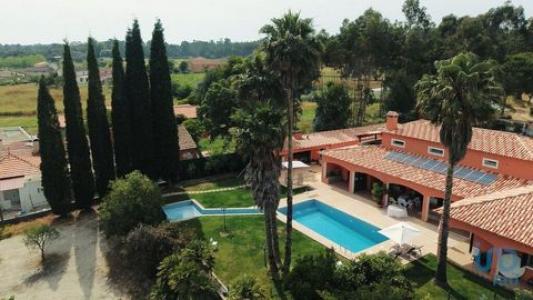 Vente Maison Anadia SANGALHOS 01 au Portugal