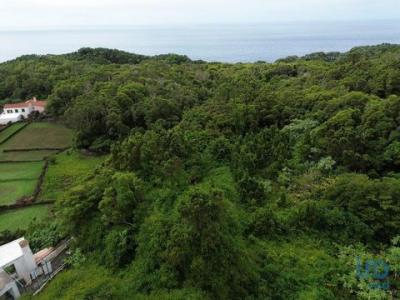 Acheter Maison 229 m2 Lajes-do-pico