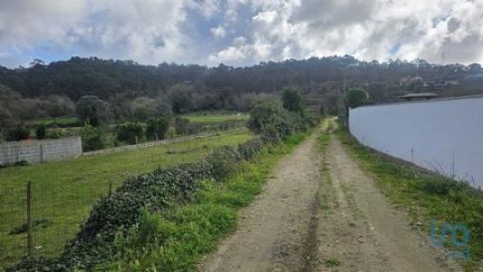 Acheter Terrain 1139 m2 Esposende