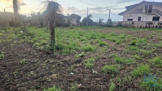 Vente Terrain Esposende ANTAS 03
