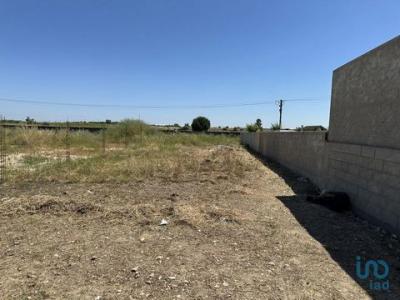 Vente Terrain Alpiarca ALPIARAA 14 au Portugal