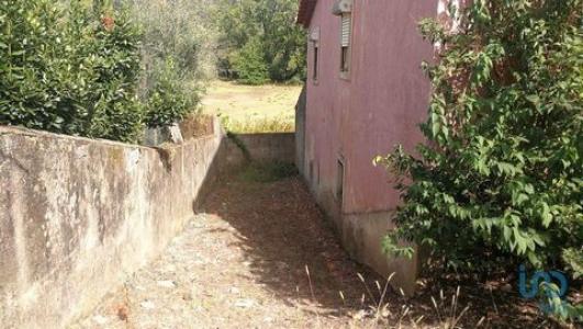 Acheter Maison Alvaiazere rgion LEIRIA
