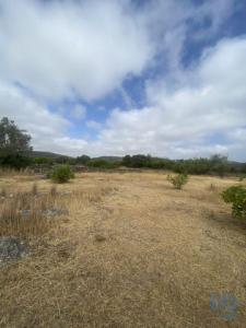 Annonce Vente Terrain Sao-bras-de-alportel