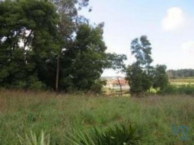 Acheter Terrain 2200 m2 Gondomar