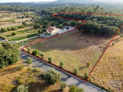Vente Terrain Ferreira-do-zezere AREIAS-E-PIAS 14