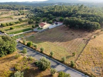 Acheter Terrain 7560 m2 Ferreira-do-zezere