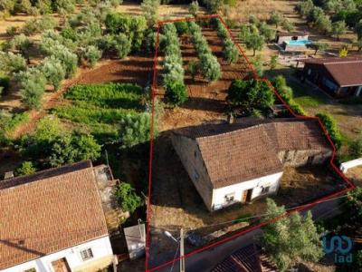 Vente Maison Ferreira-do-zezere AREIAS-E-PIAS 14