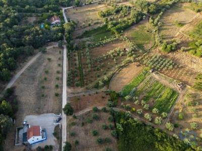 Vente Terrain Ferreira-do-zezere AREIAS-E-PIAS 14