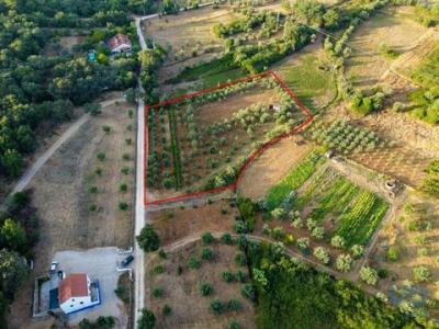 Annonce Vente Terrain Ferreira-do-zezere
