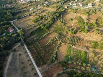 Acheter Terrain 4160 m2 Ferreira-do-zezere