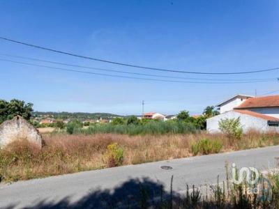 Annonce Vente Terrain Mealhada