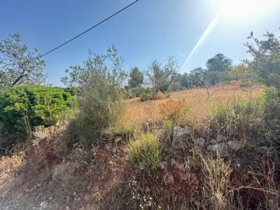Acheter Maison 4700 m2 Olhao