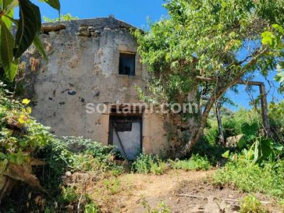 Annonce Vente Terrain Monchique