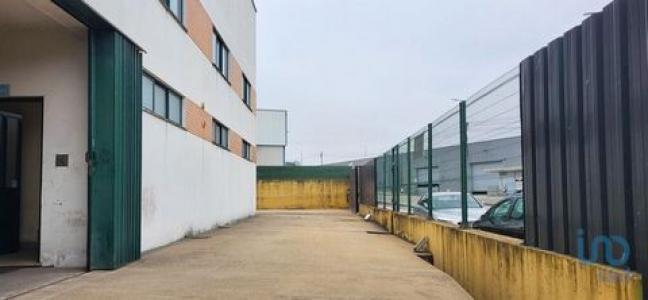 Vente Local industriel Oliveira-do-bairro OIA 01