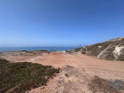 Acheter Terrain 5600 m2 Peniche
