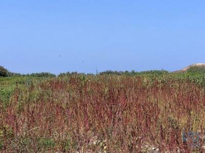 Acheter Terrain Peniche rgion LEIRIA