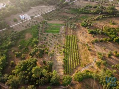 Vente Terrain Ferreira-do-zezere AREIAS-E-PIAS 14