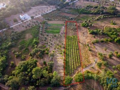 Annonce Vente Terrain Ferreira-do-zezere