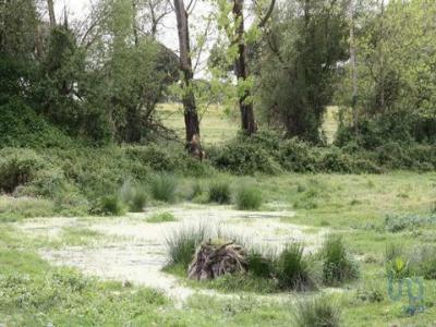 Annonce Vente Terrain Landeira