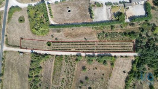 Annonce Vente Terrain Penela