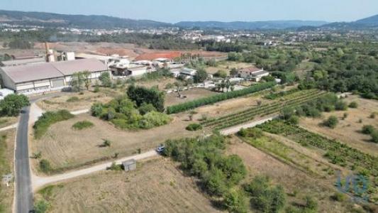 Acheter Terrain Penela rgion COIMBRA