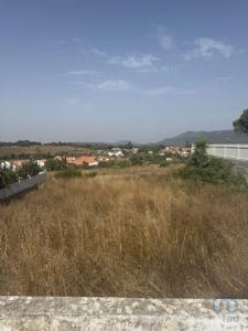 Annonce Vente Terrain Sesimbra