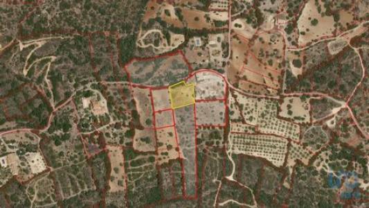 Annonce Vente Terrain Faro