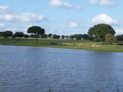Annonce Vente Terrain Landeira