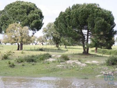 Acheter Terrain 20903 m2 Landeira