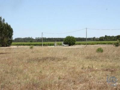 Acheter Terrain 2662 m2 Canha