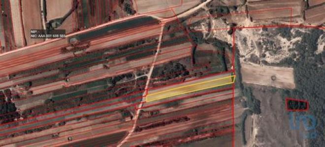 Acheter Terrain 3800 m2 Peniche
