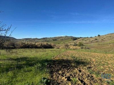 Vente Terrain Alenquer VILA-VERDE-DOS-FRANCOS 11 au Portugal