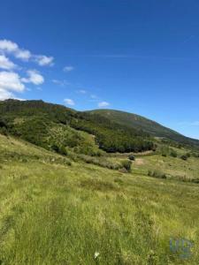 Vente Terrain Alenquer VILA-VERDE-DOS-FRANCOS 11 au Portugal